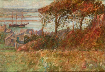 Copse Above the Harbour in Autumn