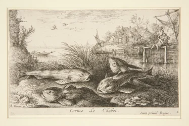 Cortus, The Chabot