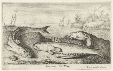 Three Spotted Weever Fish on the Beach