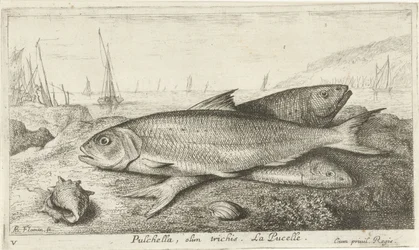 Three Fish on the Beach
