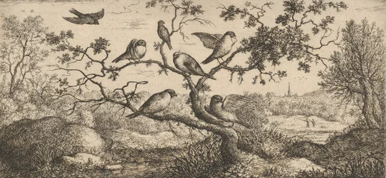 The Bullfinch: Book of Birds, 1655-1660