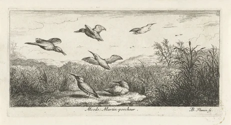 Landscape with Kingfishers