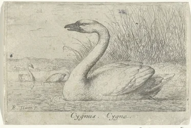 Landscape with Swan (title on object) (series title)