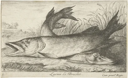 Two Pikes on a Riverbank