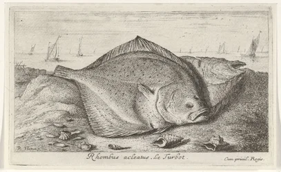 Two Turbots on the Beach