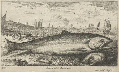 Two Salmon on the Beach (series title: Fish and Other Sea Creatures - Saltwater First Series)