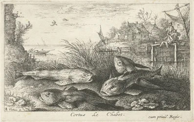 Four Chubs on a Riverbank (Fish and Other Sea Creatures - Freshwater Second Series)