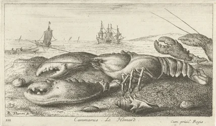 Lobster on the Beach (Vissen en andere zeedieren - zoutwater eerste reeks, Diverses Especes de Poissons de mer)