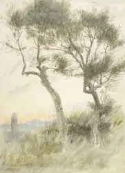 Study of Two Trees