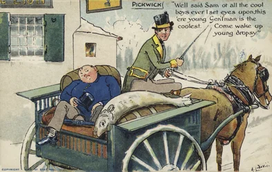 Pickwick Papers