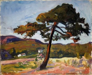 Pine Tree in St. Tropez