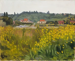 Yellow Flowers at Villenes