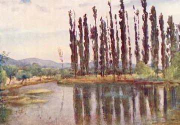 Near the Temple of Clitumnus