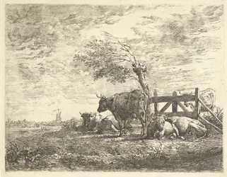 Cows by a Fence and a Pollard Willow