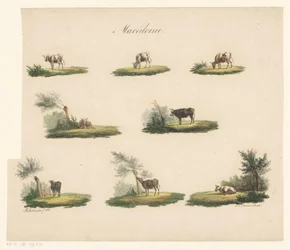 Cows in Landscape