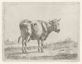 Standing Cow