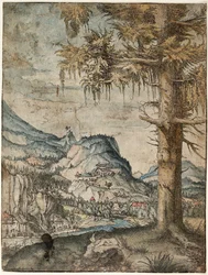 Large Spruce