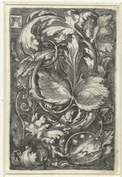 Ornament with Foliage