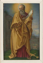 Apostle Paul