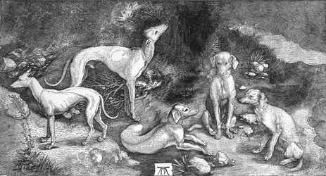 Group of Dogs. From the engraving of St. Eustace, by A. Durer, c1500, 1906