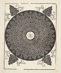 Interlaced Cord Pattern with White Medallion