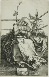 Madonna on a Grassy Bank