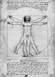 Proportions of the Human Figure, c. 1492, 1936