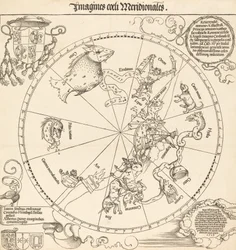 The Southern Celestial Hemisphere