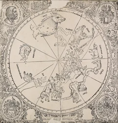 The Celestial Chart of the Southern Hemisphere