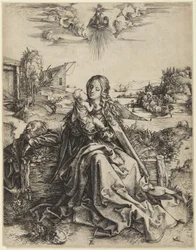 Virgin and Child with a Dragonfly