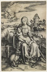 Virgin and Child with the Monkey, c. 1498