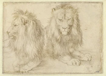 Two Reclining Lions