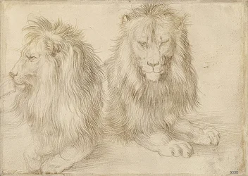 Two Reclining Lions