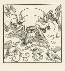 An Owl Attacked by Four Other Birds