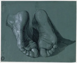 Study of Two Feet - Drawing by Albrecht Durer