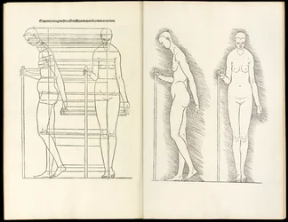 Female with staff, anatomical woodcut from Hierinn sind begriffen vier Bücher von menschlicher Proportion, 1528