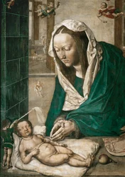 Madonna with Child, Central Panel of the Dresden Altar, c.1496