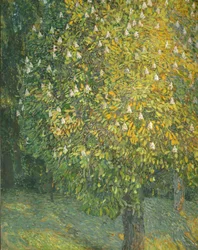 Blooming Chestnut Tree