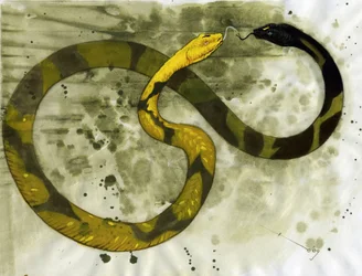 Fabulous creature: representation of an Amphisbene, snake with two heads
