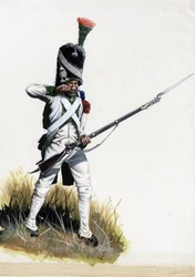Velite Soldier of the Great Napoleonic Army in Italy