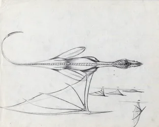 Legendary animal for fantasy illustration: study for a dragon