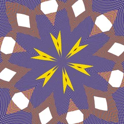 Constellations, 2019