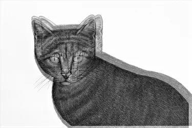 Electric Cat