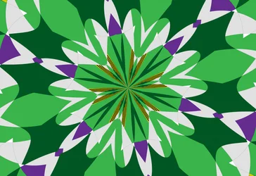 Flowers #25