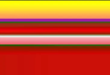 Gradient D, 2019