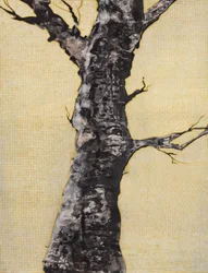 Striking Bare Tree