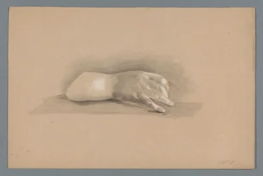 Plaster Model of a Hand