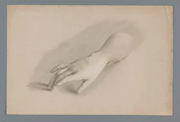 Plaster Model of a Hand