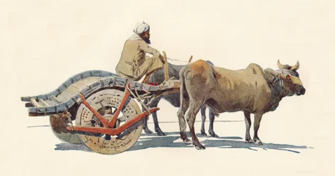 A Bullock Cart, Jodhpur