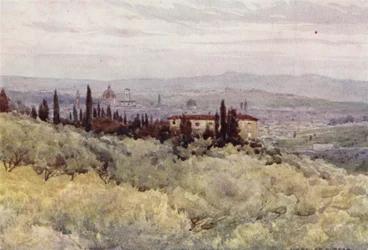 Florence from the Olive Gardens of San Domenico